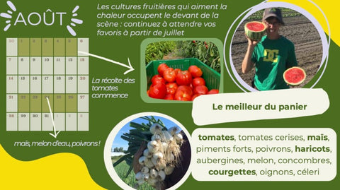 Calendrier recoltes tourne sol juillet 1