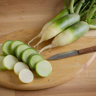 Radis Daikon Vert - 5lbs