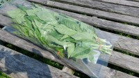 Basil-1kg