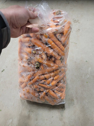 Carottes à jus -25lbs