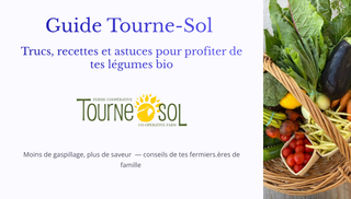 Guide Tourne-Sol: Trucs, recettes et astuces pour profiter de tes légumes bio