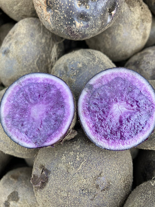 Patates Nouvelles Bleues - Midnight - 5 lbs
