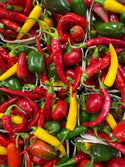 Mixed Hot Peppers - 1kg