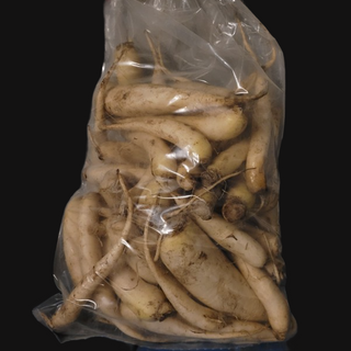 Daikon Radish - 10lbs