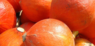 Red Kuri Squash (3-4 units) - 10lbs