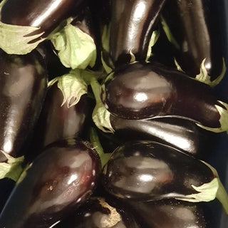 Eggplant-5kg