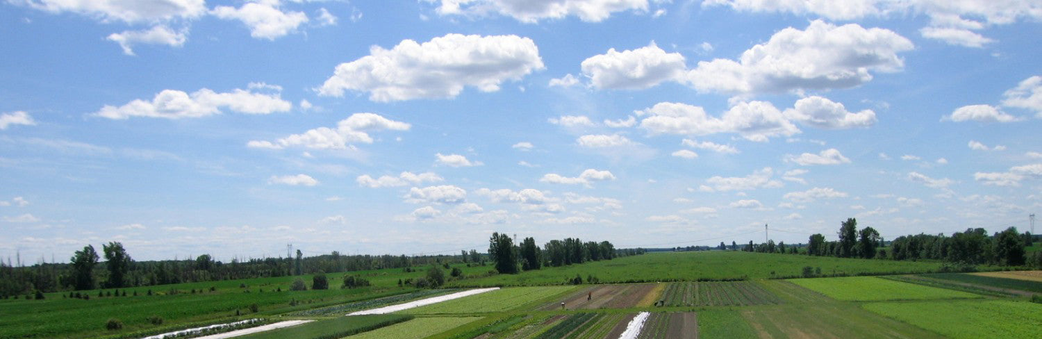 à la ferme coopérative Tourne-Sol