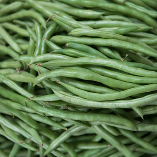 Green Beans - 10 lbs