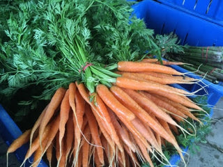 belles carottes