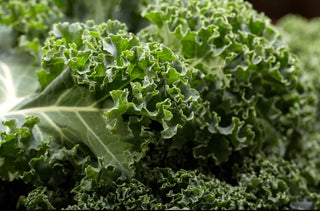 Kale - 10 bunches