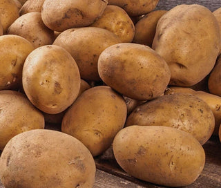 Patates Nouvelles - Russet - 5 lbs