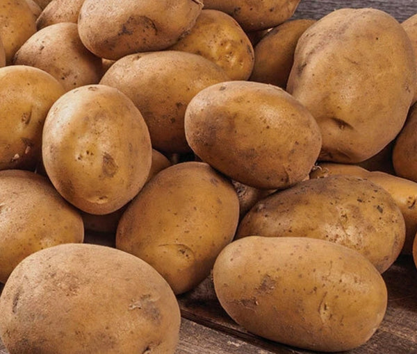 Patates Nouvelles - Russet - 5 lbs