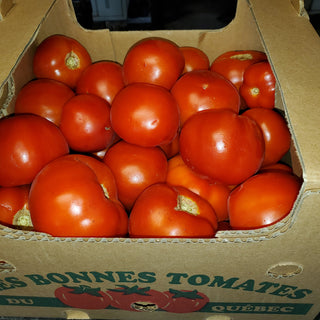 Tomates rouges / Tomatoes - Red - 20lb